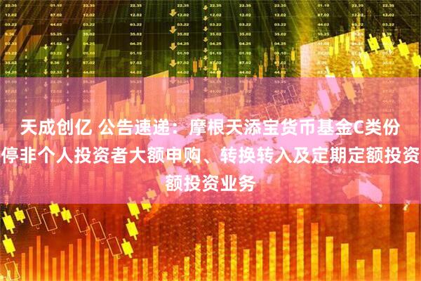 天成创亿 公告速递：摩根天添宝货币基金C类份额暂停非个人投资者大额申购、转换转入及定期定额投资业务