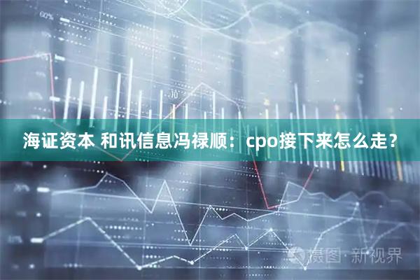 海证资本 和讯信息冯禄顺:cpo接下来怎么走?